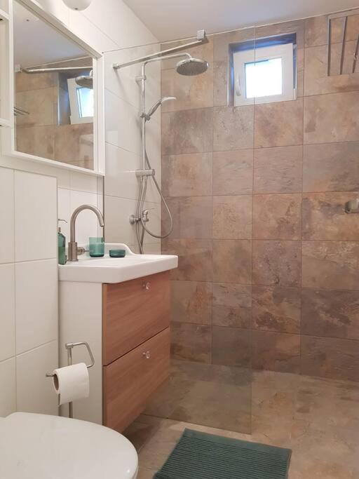 Living City, Apartament Cu Doua Dormitoare Nagyszeben Kültér fotó